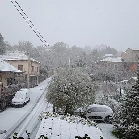 La Casetta Dei Fiori Sull Etna Dom wakacyjny *